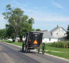 Amish Buggy is a common sight just South of Arthur in Illinois Amish Country