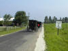 Amish buggies along an Arthur road 
