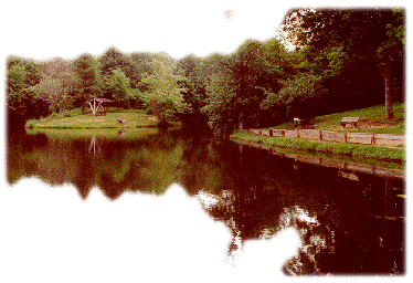 Fishing Pond