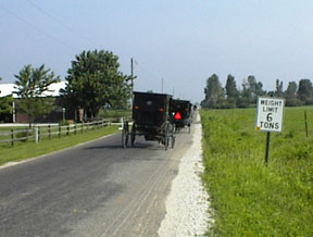 Amish Buggies